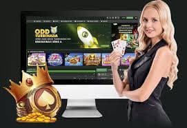 333bet15